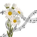 Daisies with music notes.