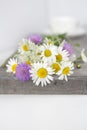 Beautifull daisies and other flowers on a white table.