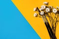 Daisies and Paintbrushes on a Split Blue and Yellow Background, Strong Shadows Royalty Free Stock Photo