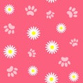 Seamless pattern background of paw and Daisy on pink Royalty Free Stock Photo