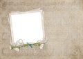 Old snapshot frame with daisies Royalty Free Stock Photo