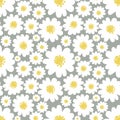 Daisies seamless pattern Royalty Free Stock Photo