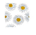 Daisies solid line drawing. Seamless texture. Abstract minimal daisy.  Doodle in black and white.  Vector Royalty Free Stock Photo
