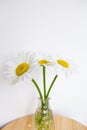 Daisies in vase on a old wooden table Royalty Free Stock Photo