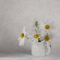 The Daisies in a white enamel mug on white paper background Royalty Free Stock Photo