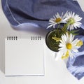 The Daisies in a white enamel mug on white paper background Royalty Free Stock Photo