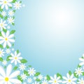 Daisy background