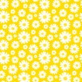 seamless daisy background and pattern vector illustration