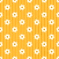 seamless daisy background and pattern vector illustration