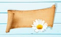 Daisy Banner Memo Royalty Free Stock Photo