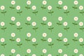 Daisy blooming pattern flat style background Royalty Free Stock Photo