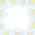 Daisy border