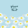 Daisy border. Vector background with white chamomiles on blue