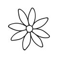 Daisy, camomile Doodle illustration.Black and white image.Contour drawing.Flower image.Isolated flower on a white background. Royalty Free Stock Photo