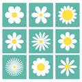 Daisy camomile. White chamomile icon set. Cute flower plant. Square green shape frame silhouette. Love card. Cartoon kawaii funny