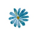 Daisy chamomile blue flower a watercolor sketch Royalty Free Stock Photo