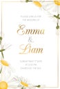 Daisy chamomile floral wedding invitation template Royalty Free Stock Photo