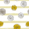 Daisy ,common daisy . Hand draw sketch vector.