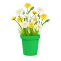 Daisy and dandelions blossom in green flowerpot, spring flowers. Realistic vector illustration Royalty Free Stock Photo