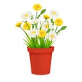 Daisy and dandelions blossom in red flowerpot, spring flowers. Realistic vector illustration Royalty Free Stock Photo