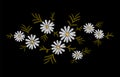 Daisy embroidery print texture flower arrangement leaves. Fashion ornament decoration vintage floral black background