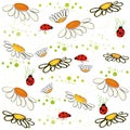 Daisy field and lady bird spring pattern vector background Royalty Free Stock Photo