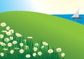 Daisy field - vector Royalty Free Stock Photo