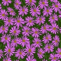 Daisy floral colorful springtime seamless pattern