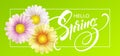 Daisy Flower Background and Hello Spring Lettering. Vector Illustration Royalty Free Stock Photo