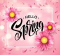 Daisy Flower Background and Hello Spring Lettering. Vector Illustration Royalty Free Stock Photo