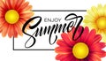 Daisy Flower Background and Summer Lettering. Vector Illustration Royalty Free Stock Photo