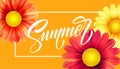 Daisy Flower Background and Summer Lettering. Vector Illustration Royalty Free Stock Photo