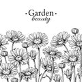 Daisy flower border drawing. Vector hand drawn engraved floral seamless pattern. Chamomile black Royalty Free Stock Photo