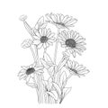 daisy flower bouquet tattoo, small daisy tattoo, elegant minimalist daisy tattoo, daisy Rudbeckia tattoo black and white