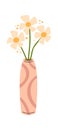 Daisy flower in ceramic vase Royalty Free Stock Photo