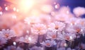 Daisy flower field under the morning light, generated by ai