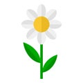 Daisy Flower Flat Icon Isolated on White Royalty Free Stock Photo