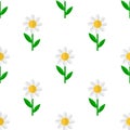 Daisy Flower Flat Icon Seamless Pattern