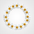 Daisy flower form a circle and beautiful frame concept