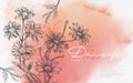 elegant realistic Daisy flower hand drawn illustration with orange watercolour backgrounds