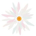 Daisy Flower head vector nature, plants, spring design. Colorful flower isolated on white, ,Flat floral design element Royalty Free Stock Photo