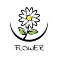 Daisy flower logo for flower shop
