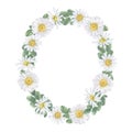 Daisy flower oval Wreath. Watercolor botanical illustration of Chamomile and leaf. Hand drawn clip art on isolated Royalty Free Stock Photo