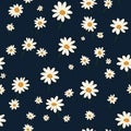 Daisy flower seamless pattern. Floral ditsy print with small white flowers. Chamomile design great for fashion fabric