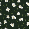 Daisy flower seamless pattern. Floral ditsy print with small white flowers. Chamomile design great for fashion fabric