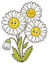 Daisy flower theme image 1 Royalty Free Stock Photo