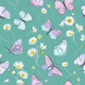 Daisy flowers and butterfly vector background. Seamless spring floral watercolor pattern Royalty Free Stock Photo