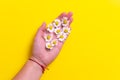 Daisy flowers with hand on a yellow background. Royalty Free Stock Photo