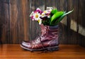 Daisy flowers in old boot on wooden background Royalty Free Stock Photo