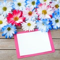 Daisy Flowers in Red White and Blue Colors with Party Invitation Card Laying on Rustic Board Table with room or space for your wor